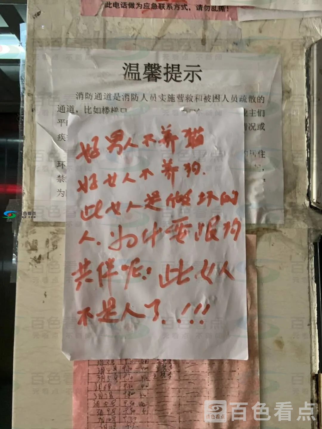120424pzzgobmqgcgb6bj9.webp