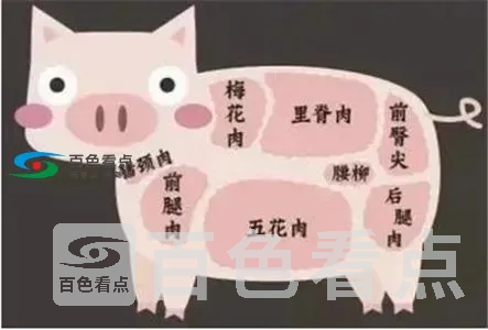 640.webp (2).webp