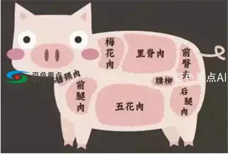 640.webp (2).webp