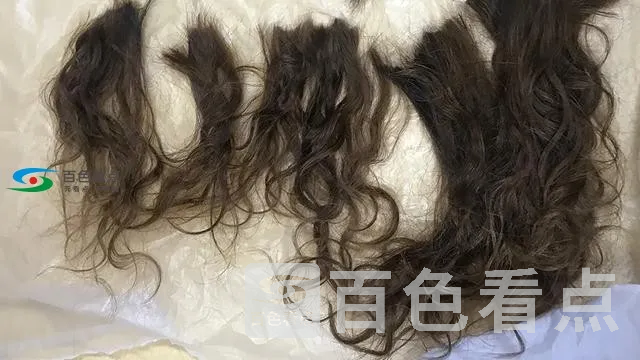 a15ec7be2798448a90db61dc395b8a6e.webp