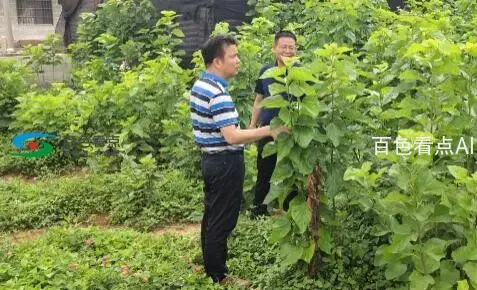 QQ截图20200530072453.webp