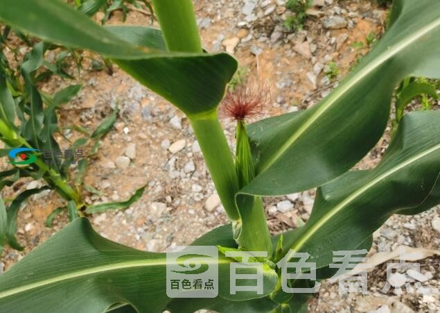 QQ截图20200601025131.jpg