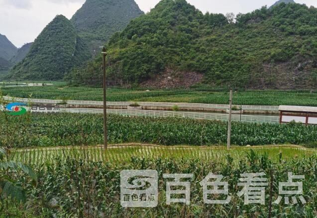 QQ截图20200601025138.jpg