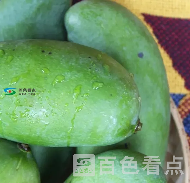 S4Jxi1hJ49Bbap.webp