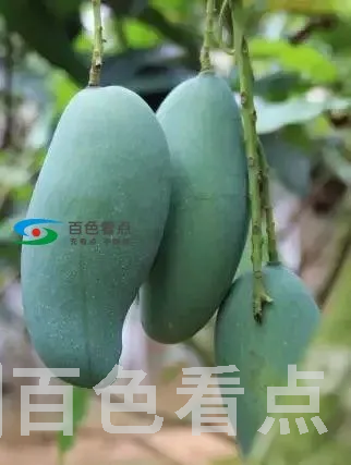 S4JxgWa7wyf7Xn.webp