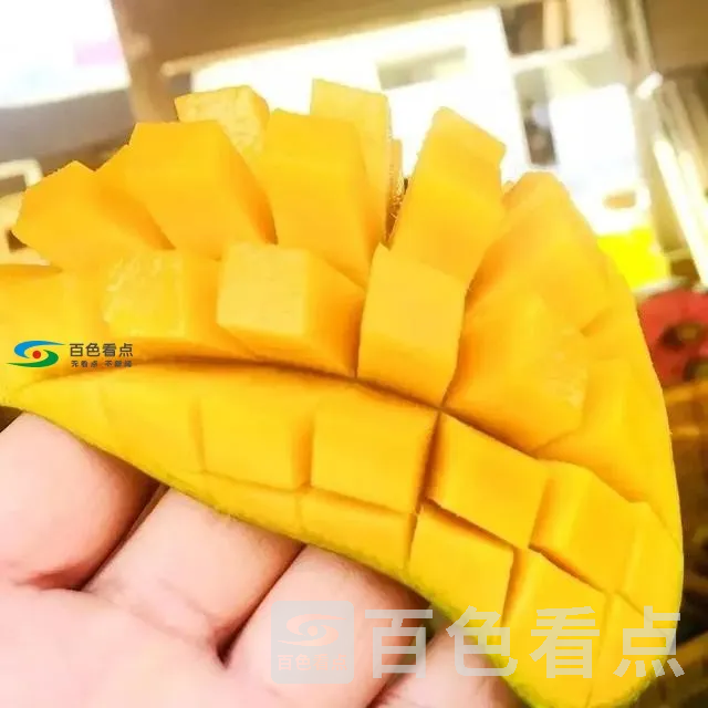 S4JxhKg7c4BhQJ.webp