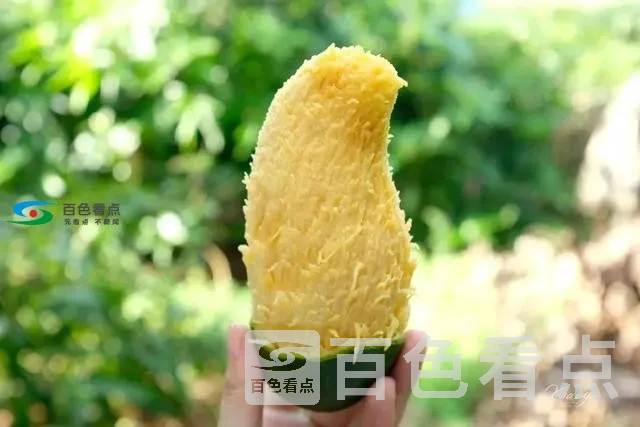 S4JxhL74nOe5nc.webp