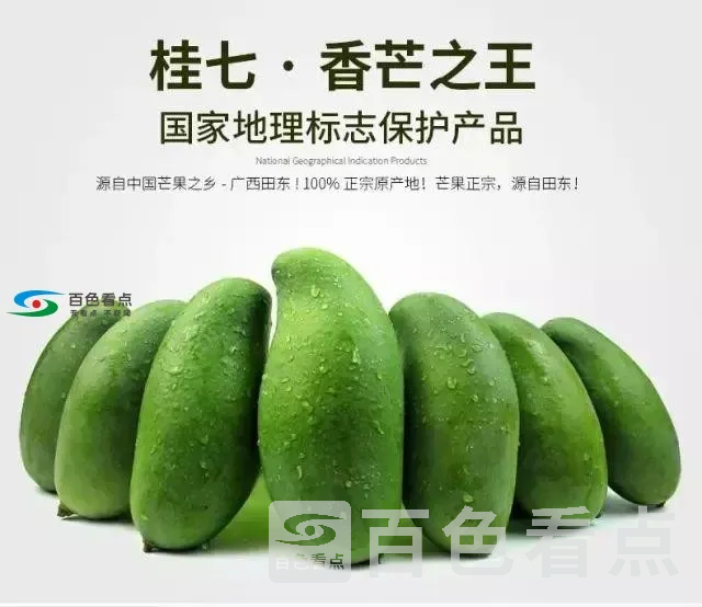 S4JxgYOCpD43j7.webp