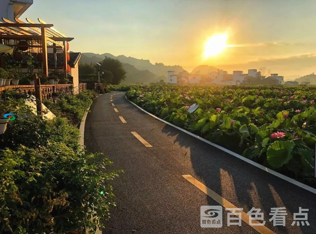 微信图片_20200714151614.webp