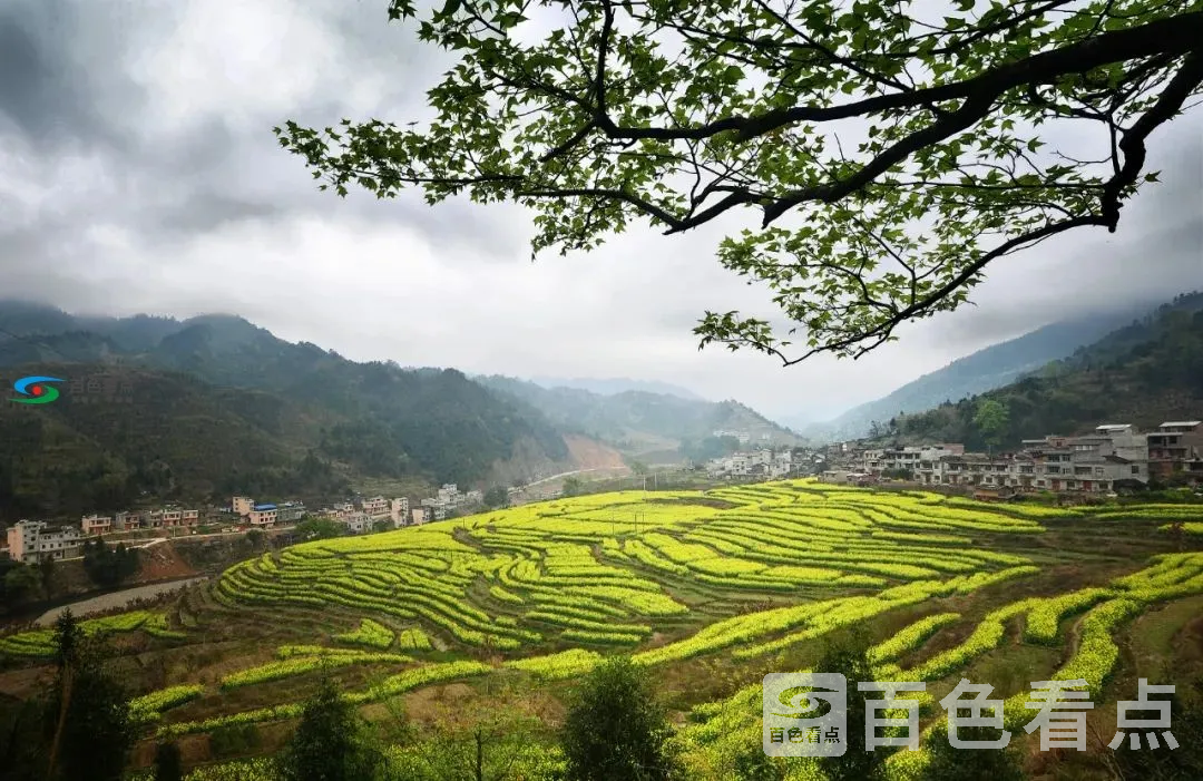 微信图片_20200714151626.webp