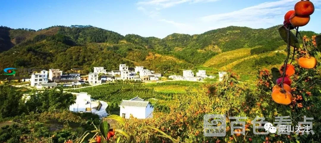 微信图片_20200714151619.webp