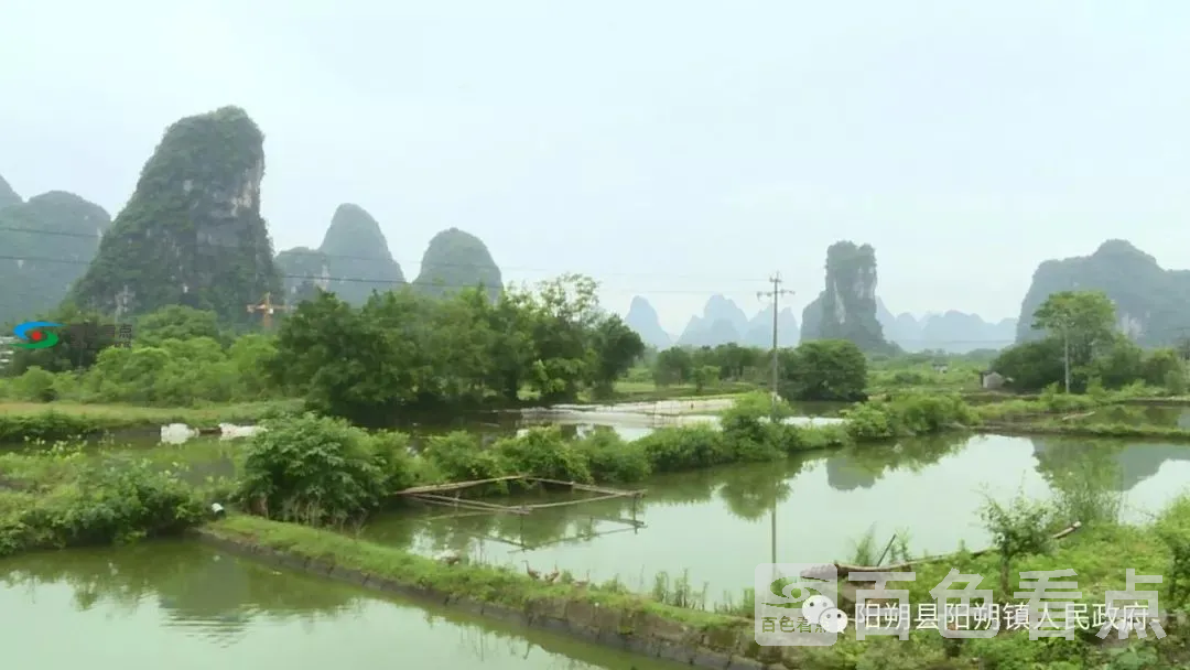 微信图片_20200714151622.webp