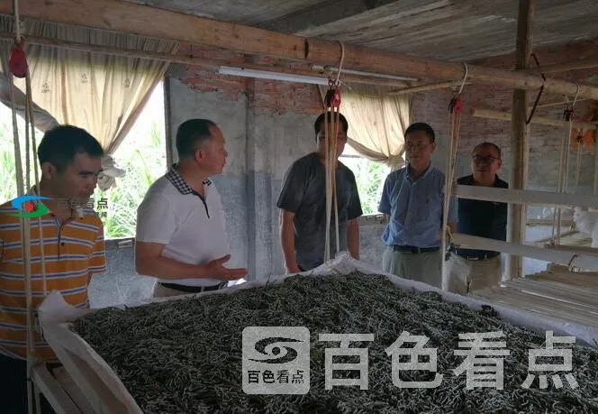 QQ截图20200728162745.webp