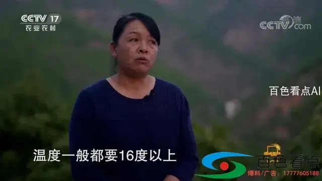 f77474c87f944d76a5cc21d972f67468.webp