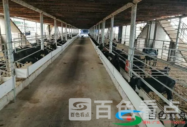 QQ截图20200807081746.webp