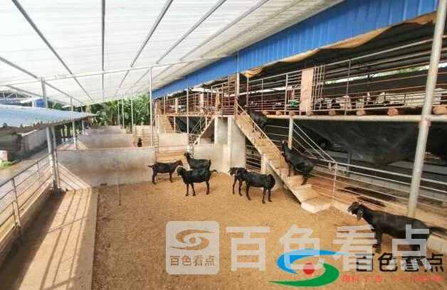 QQ截图20200807081800.webp