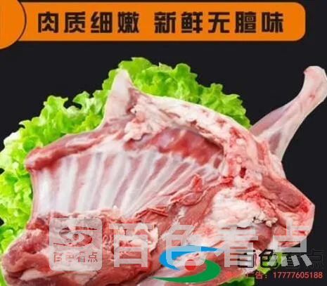 QQ截图20200807081834.webp