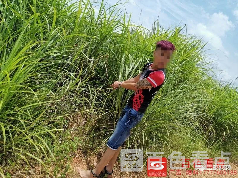 微信图片_20200820085620.webp