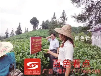 14611597969469871.webp