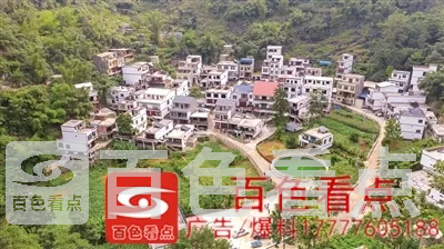 80051597969470449.webp