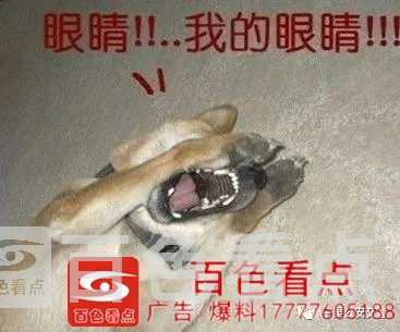 微信图片_20200827094804.webp