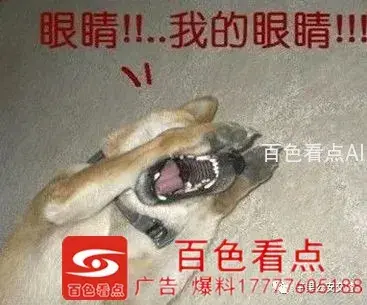 微信图片_20200827094804.webp