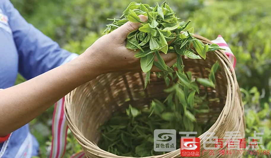 86df0950d448d5375522da367bc1ea68 (1).webp