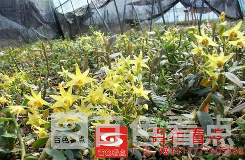 u=2036116609,4143223167&amp;fm=26&amp;gp=0.webp