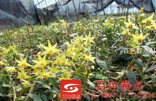 u=2036116609,4143223167&amp;fm=26&amp;gp=0.webp