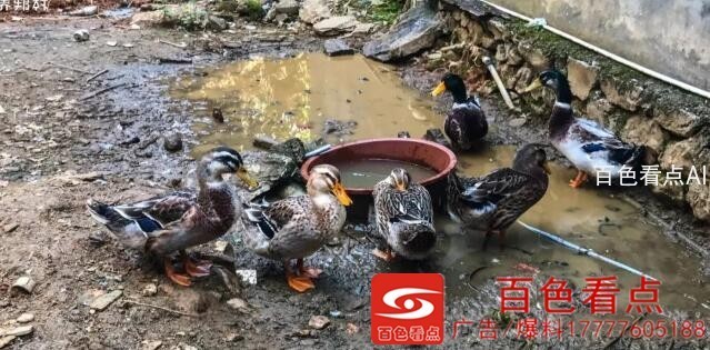 QQ截图20200902234120.jpg