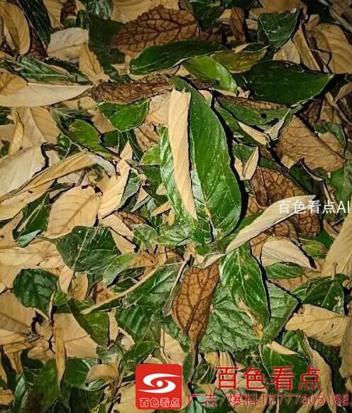 QQ截图20200902234049.jpg