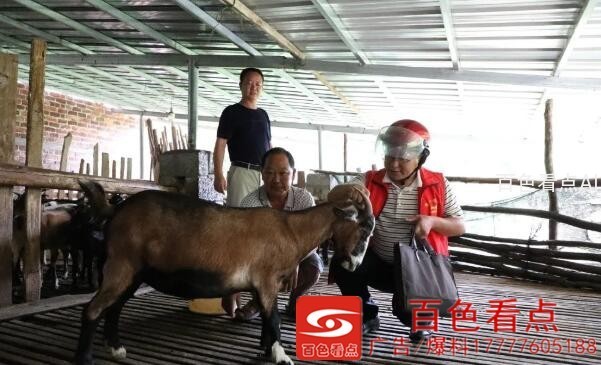 QQ截图20200903152650.jpg