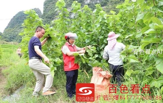 QQ截图20200903152704.jpg