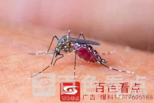 微信图片_20200914151033.webp