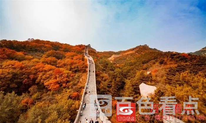 微信图片_20200928105415.webp