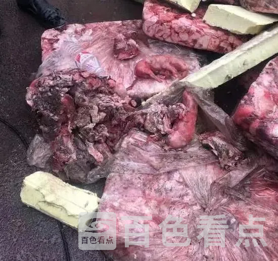 QQ截图20201028160018.webp