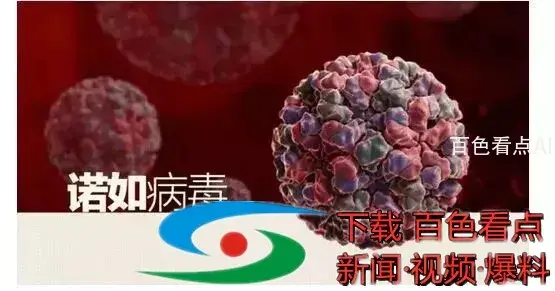 微信图片_20201116161858.webp