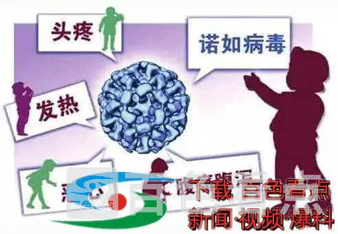 微信图片_20201116161906.webp