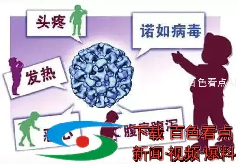 微信图片_20201116161906.webp