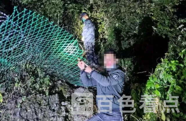QQ截图20201119215046.webp