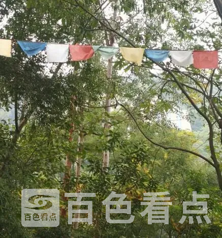 QQ截图20201119234850.webp