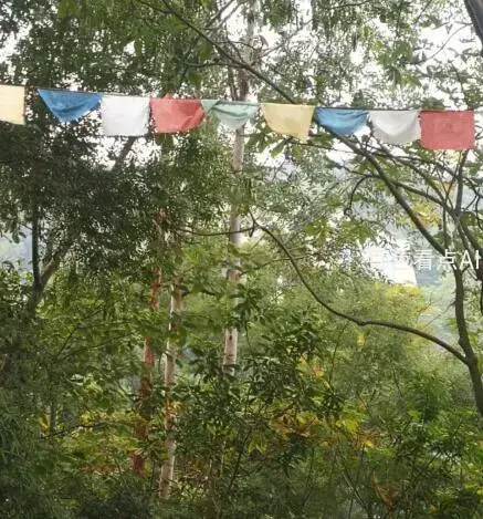 QQ截图20201119234850.webp