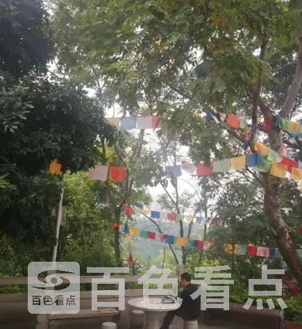 QQ截图20201119234857.webp