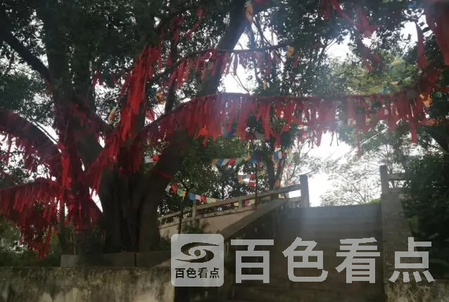 QQ截图20201119234917.webp