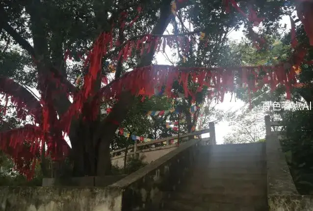 QQ截图20201119234917.webp