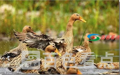 1605866499_8674ed80af010e3fc6c9e97fe30aa790.webp