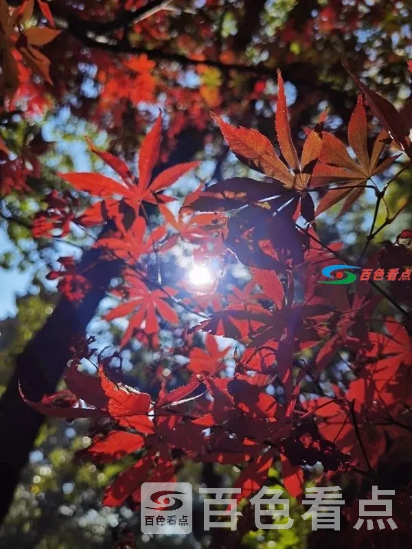 微信图片_20201204085804.webp
