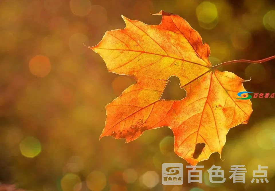 微信图片_20201204085758.webp