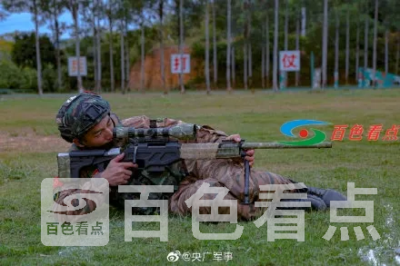 001SX8hXly1glpfc2hvs1j61900u04qq02.webp