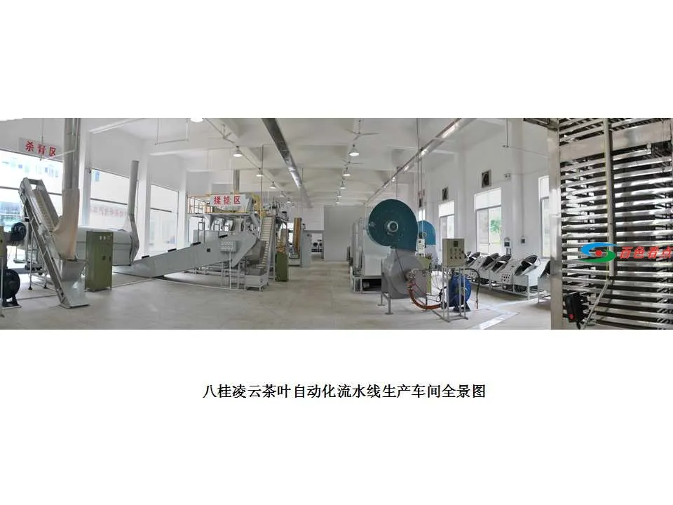 八桂凌云茶叶自动化流水线生产车间全景图1.webp